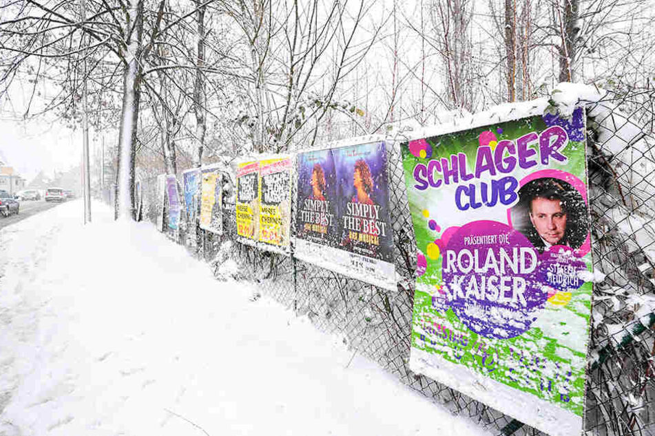 Plakatierungen müssen vom Rathaus genehmigt werden. Bußgelder bei Verstößen können laut neuer Satzung kaum noch verhängt werden.