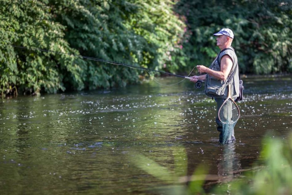 Angler Gerhard Petzenburg (72) hofft, dass bald wieder Lachse in der Chemnitz schwimmen.
