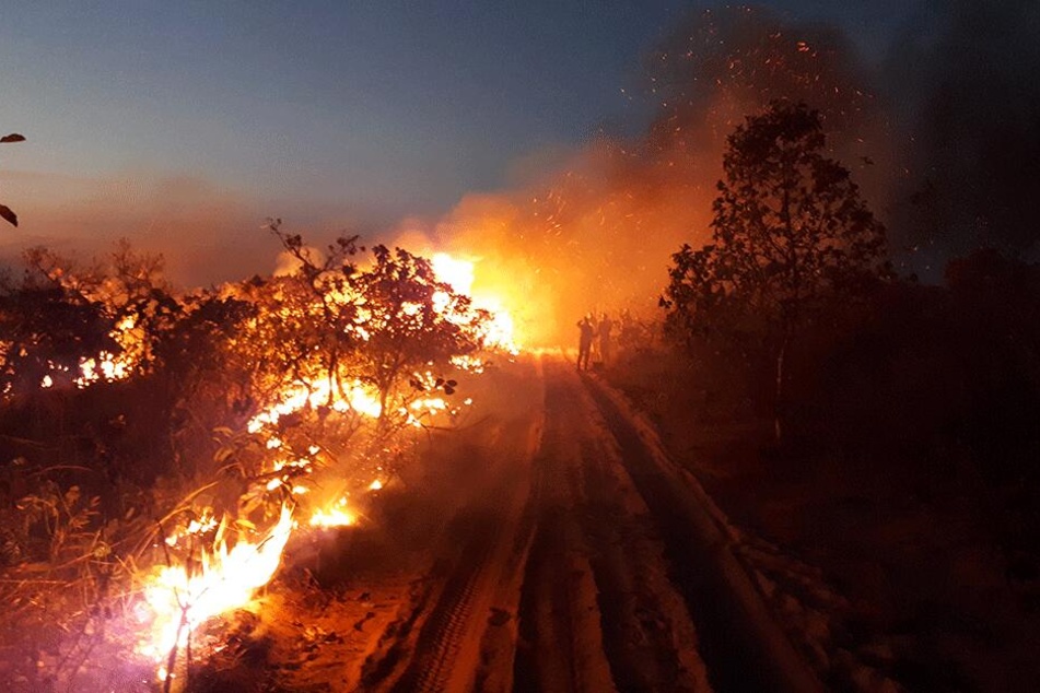 Eine Gruppe von Menschen beobachtet die Flammen bei einem Waldbrand im Naturpark Chapada dos Guimaraes.