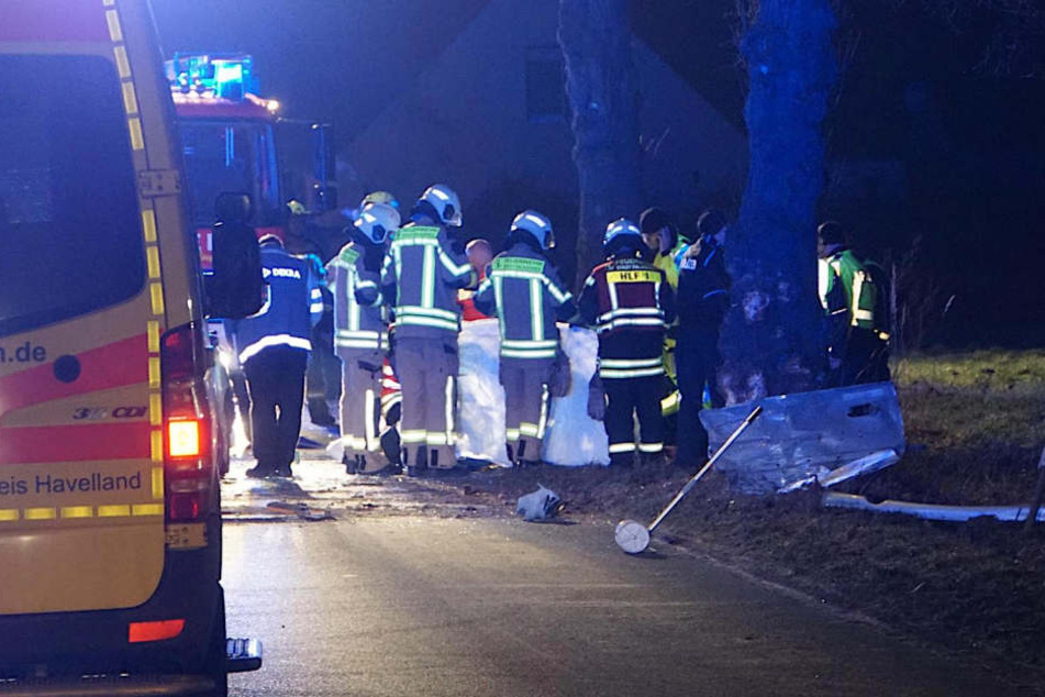 An diesem Baum zerschellte der Honda Civic.