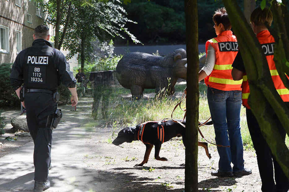Mehrere Beamte waren im Einsatz und suchten nach dem kleinen Mädchen. (Symbolbild)