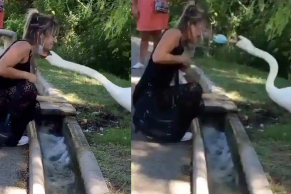 Als die Unbekannte sich vor den Schwan kniet, zieht dieser ihr kurzerhand ihre Maske übers Gesicht.