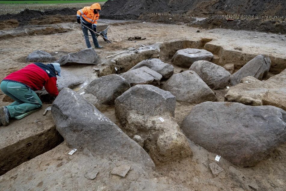Archäologen legen auf einem Acker ein Großsteingrab aus der Trichterbecherzeit frei. Das Grab ist circa 5000 Jahre alt.