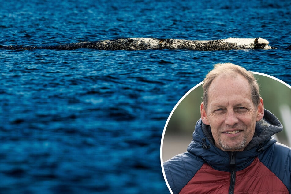 Gestrandeter Timmy: Experte will Finger in die Wunde legen - "Gibt ganz massives, großes Problem"