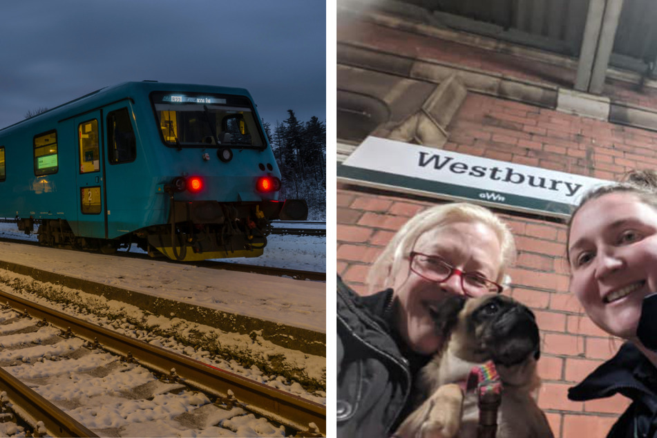 Französische Bulldogge reißt aus und macht sich alleine auf Bahnfahrt!
