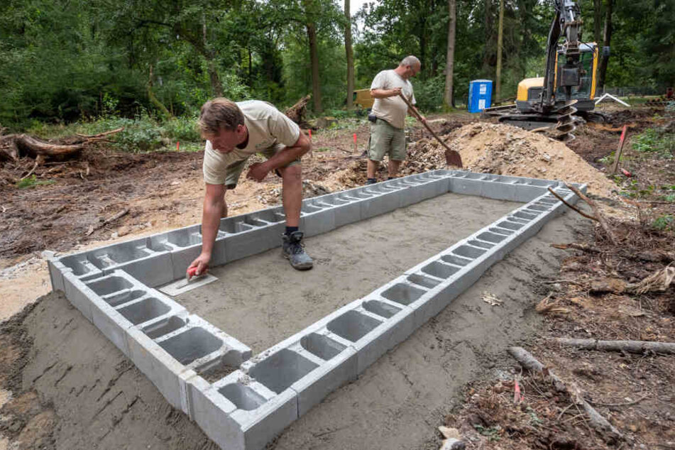 Unterkunft zum Füttern und Trennen: Arbeiter einer Spezialfirma haben bereits das Fundament für die neue Voliere (Käfig) gesetzt.