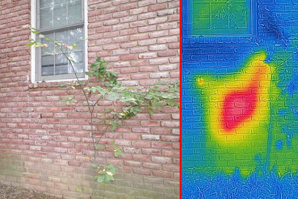 Links: Von außen sieht die Hauswand völlig normal aus. Erst eine Wärmebildkamera (rechts) zeigt, dass etwas nicht stimmt.