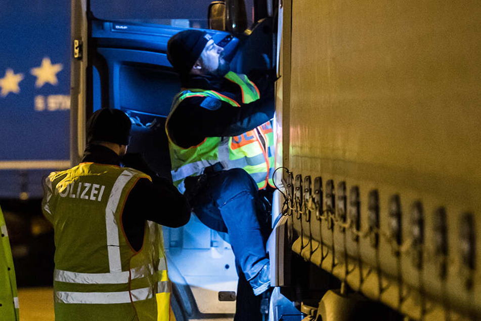 Während der Kontrolle wurden die Polizisten von dem Wildhund überrascht. (Symbolbild).