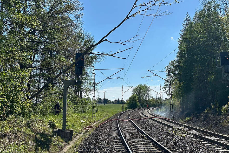 Weil ein Baum in Flammen stand und in der Folge auch noch die Oberleitung der Bahntrasse beschädigte, ging zwischen Klingenberg-Colmnitz und Tharandt nichts mehr.
