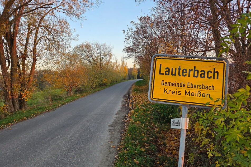 In Lauterbach im Kreis Meißen ist die Geflügelpest ausgebrochen.