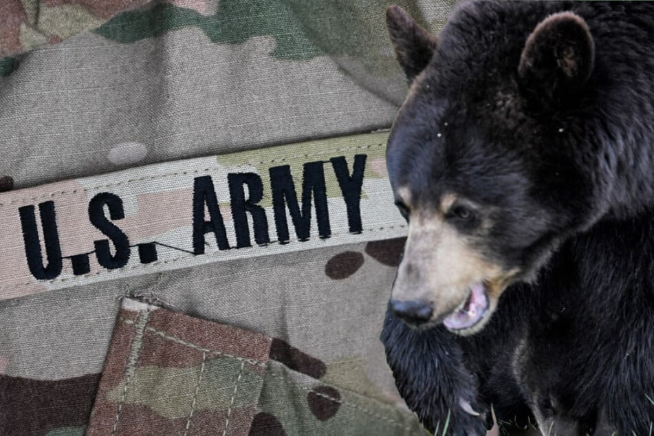 Bear kills Army soldier during training in Alaska