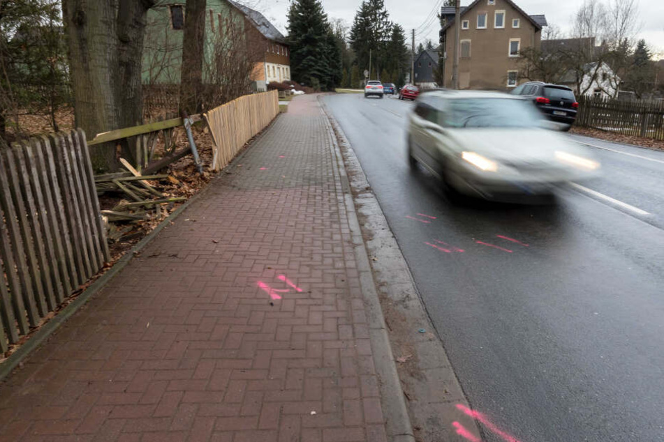 Der Mazda wurde in ein Grundstück in der Hofer Straße geschleudert.