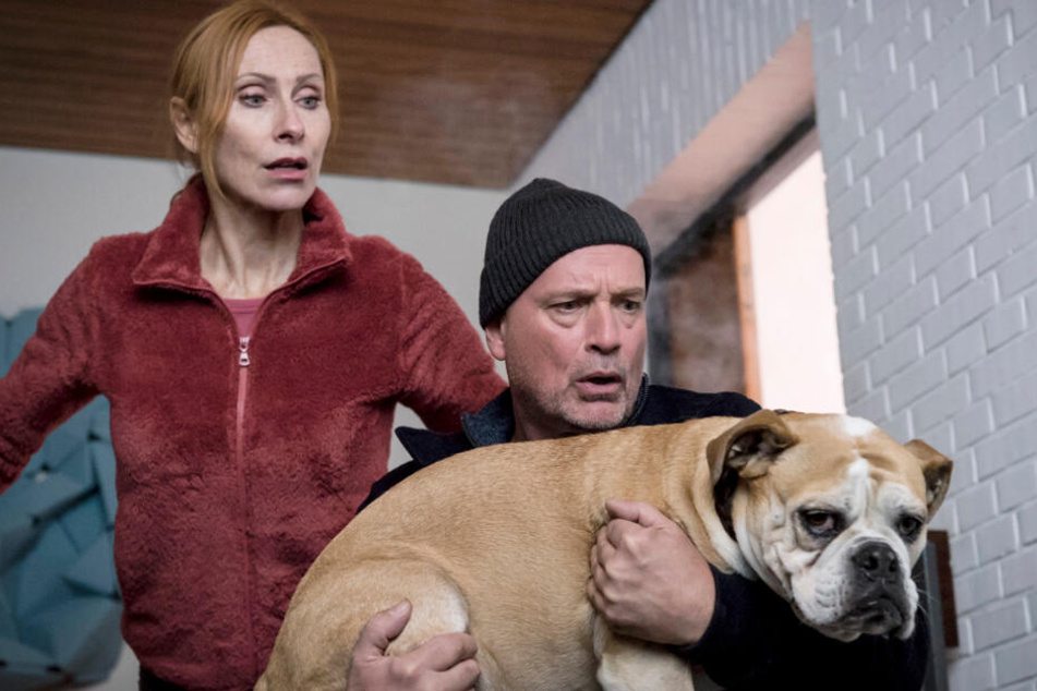 Blick auf den Vorgänger: Anja (Andrea Sawatzki) und Christoph (Christian Berkel) retten ihren Hund Hasso in "Scheidung für Anfänger" aus dem brennenden Haus.