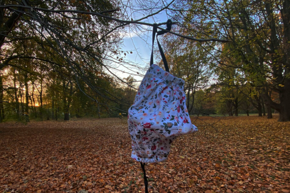Ein Mund-Nasen-Schutz hängt im Berliner Tiergarten an einem Baum.