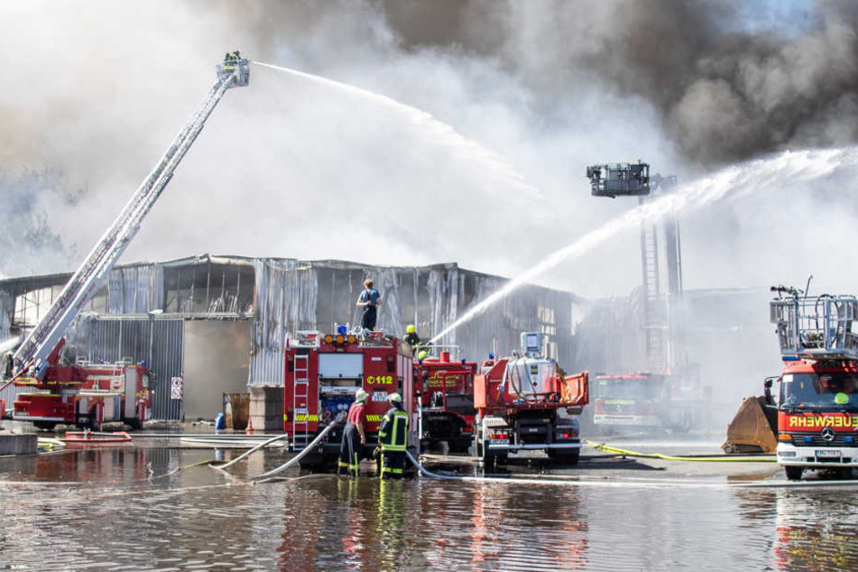 Vier Hallen wurden bei dem Feuer in Mitleidenschaft gezogen.