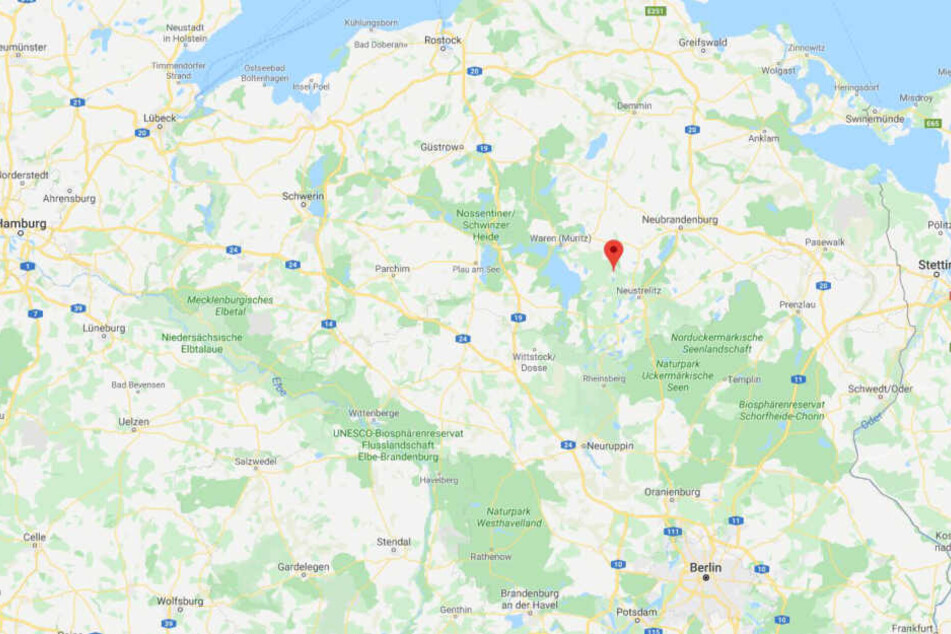 Überall um die Markierung herum könnte sich das wilde Tier aufhalten.