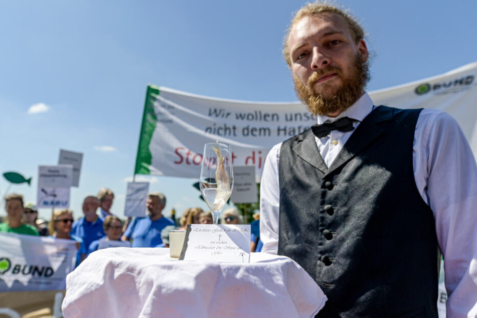 Gegner der Elbvertiefung protestieren mit toten Fischen in Sektglässern (Als Symbol für das letzte Gedeck) am Elbufer zum Auftakt des Fahrrinnenausbaus für die Elbvertiefung.