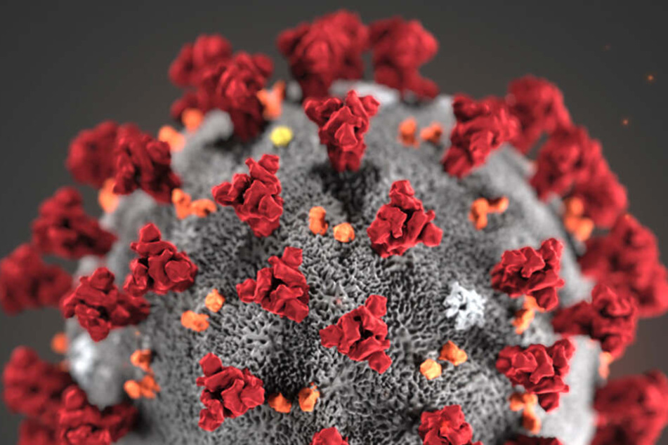 In Dresden ist bislang noch niemand am Coronavirus erkrankt.