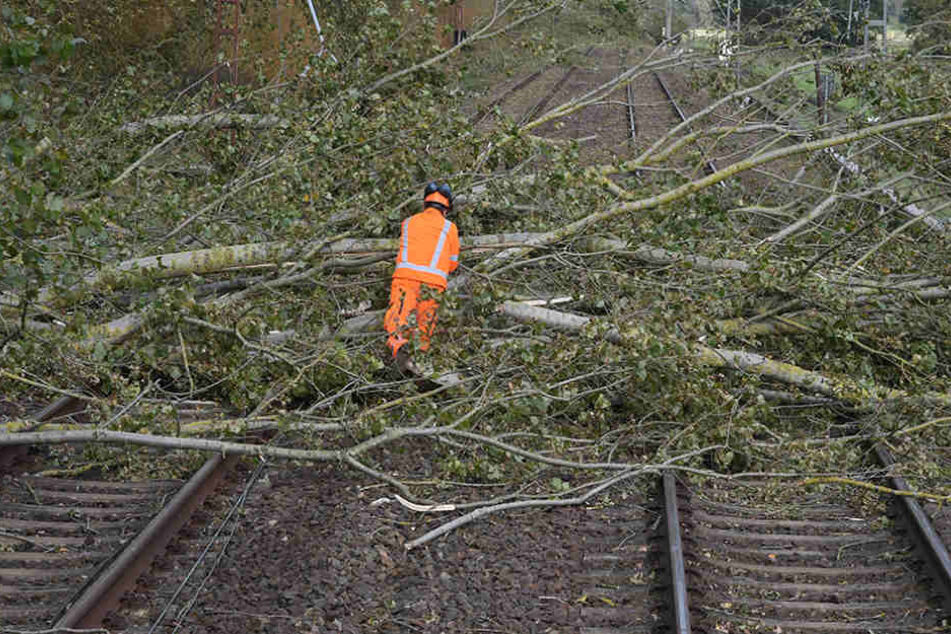 Bahnmitarbeiter räumen bei Bötzow (Brandenburg) nach dem Sturm "Xavier" umgestürzte Bäume von den Gleisen.