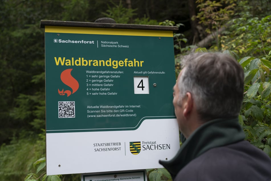 Das regnerische Wetter in Sachsen ist vorerst vorbei, es wird wieder wärmer und trockener. Das wirkt sich auch auf die Waldbrandgefahr aus. (Archivbild)