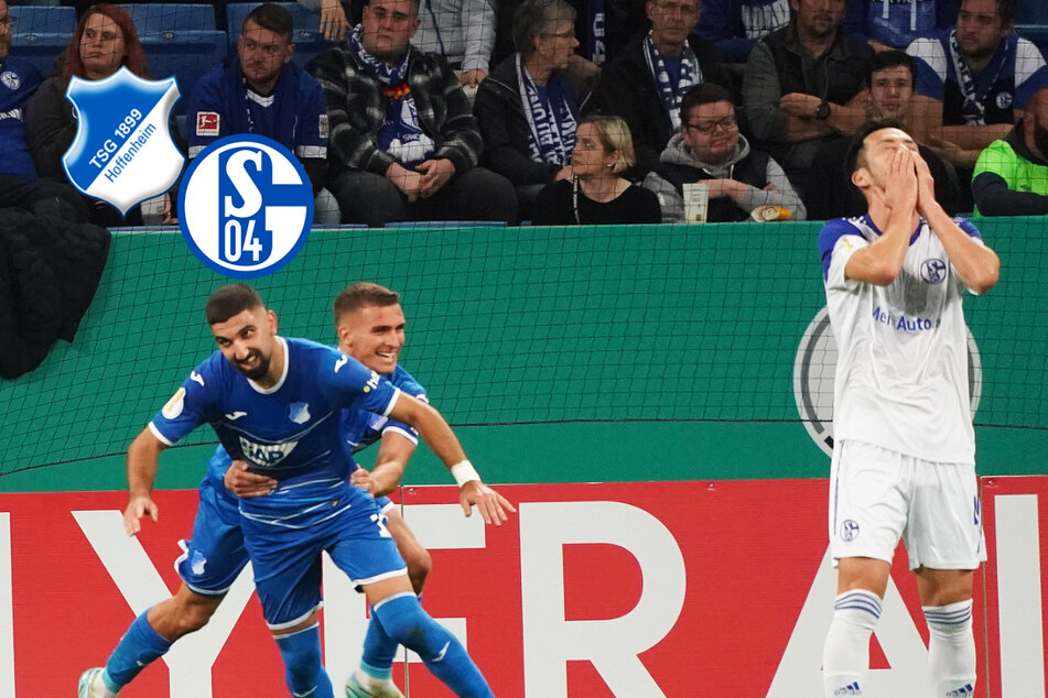 FC Schalke 04 blamabel! TSG Hoffenheim schießt Knappen im DFB-Pokal ab