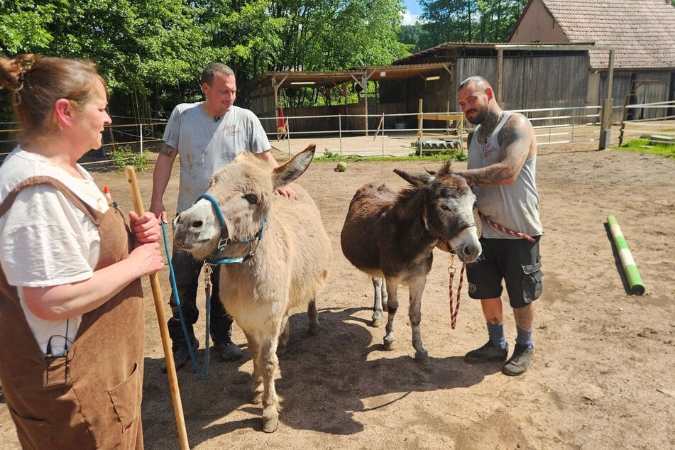 Die beiden Eselstuten Josefine und Carlotta wurden im Internet für nur einen Euro angeboten.