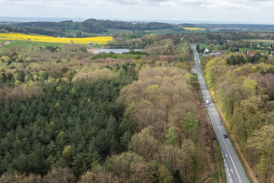 Dresden: Bahn frei: Dieser Dresdner Radweg macht bestimmt keinen Ärger!