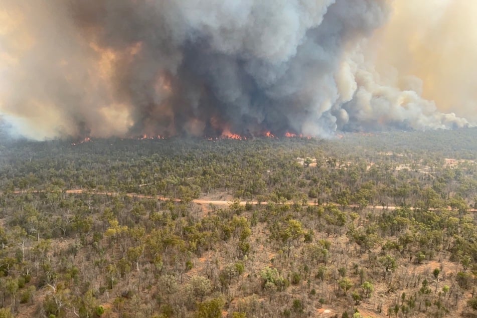 Im Osten Australiens wüten derzeit schwere Buschbrände.
