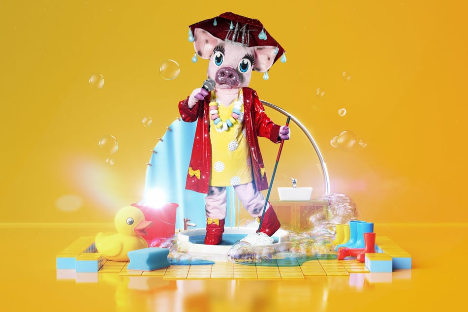 Dieses Schwein im Regenoutfit wurde am heutigen Donnerstag vorgestellt.