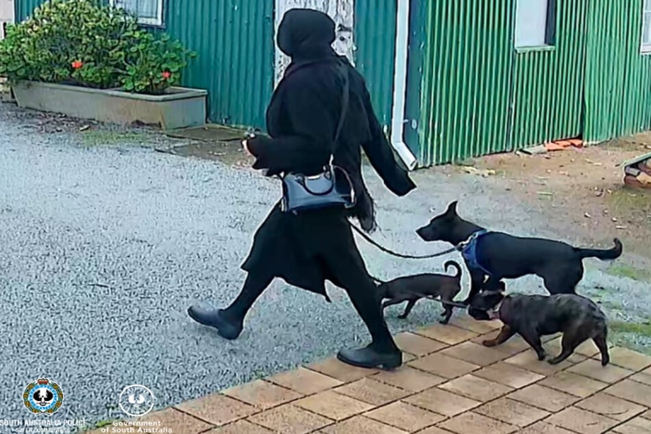 Nachdem sie ihre Wohnung angezündet hatte, ging die Killerin mit ihren drei Hunden spazieren.