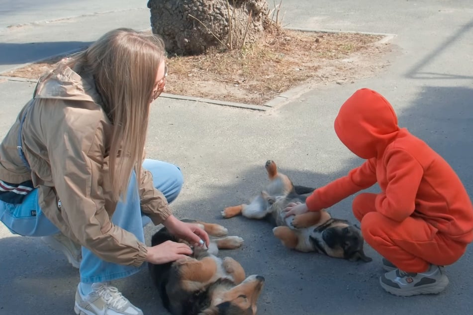Tierschützerin Olena und der kleine Junge streicheln die Welpen.