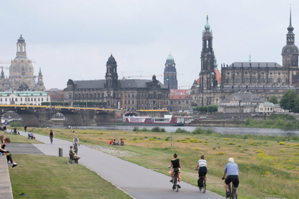 Die Elbwiesen in Dresden mit Elbe-Radweg locken viele Menschen an. (Symbolbild)
