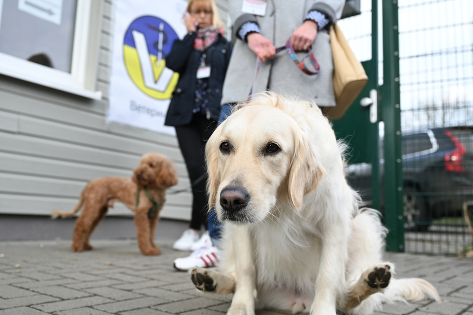 Zwei Frauen warten mit ihren Hunden vor der tierärztlichen Ambulanz auf dem Gelände der Erstaufnahmeeinrichtung des Landes Hessen (EAEH) in Gießen.