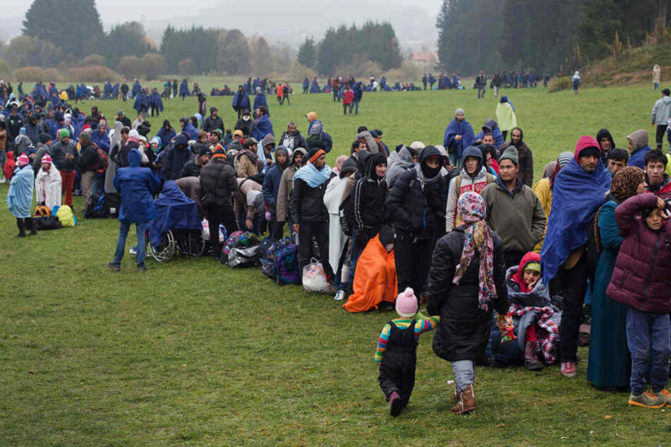 Bei der "hohen Zuwanderung" würde sich die Zahl der Muslime verdreifachen.