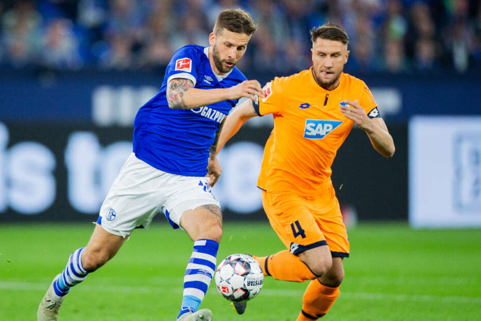 Im Duell: Schalkes Stürmer Guido Burgstaller und Hoffenheim-Verteidiger Ermin Bicakcic.
