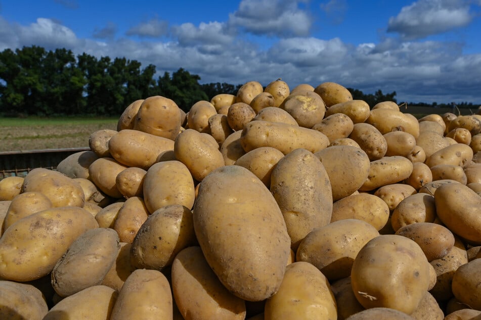 Kartoffel-Chaos auf der Fahrbahn: Polizei sucht Verursacher