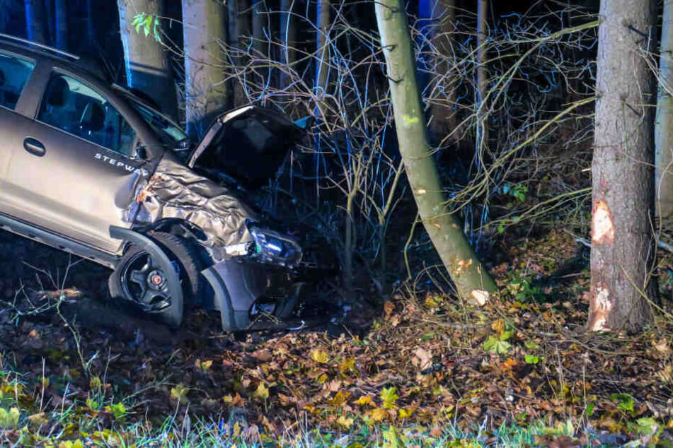 Der Dacia krachte gegen einen Baum.