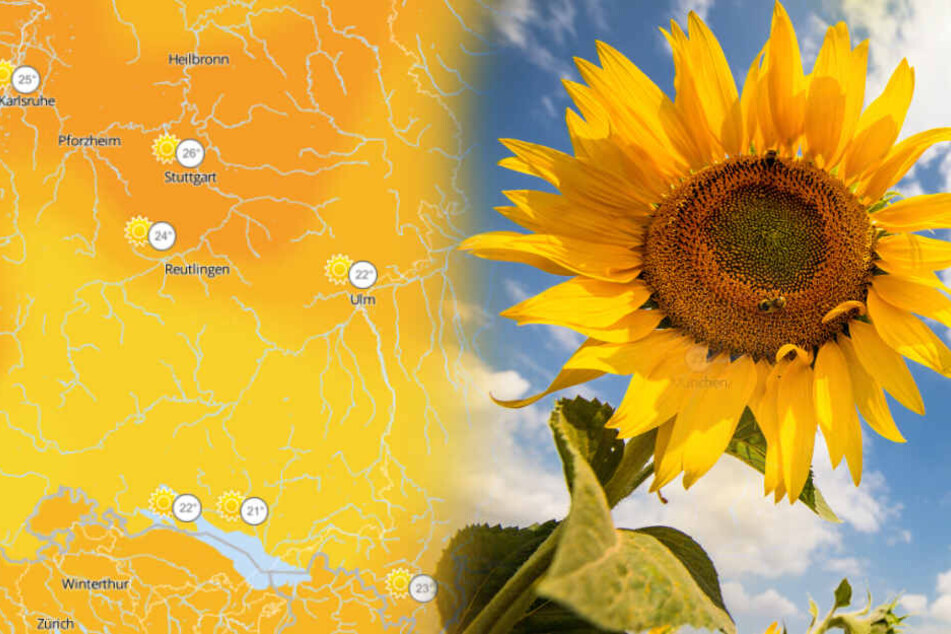 Spätsommerliche Tmeperaturen erwarten uns am Wochenende. (Fotomontage)