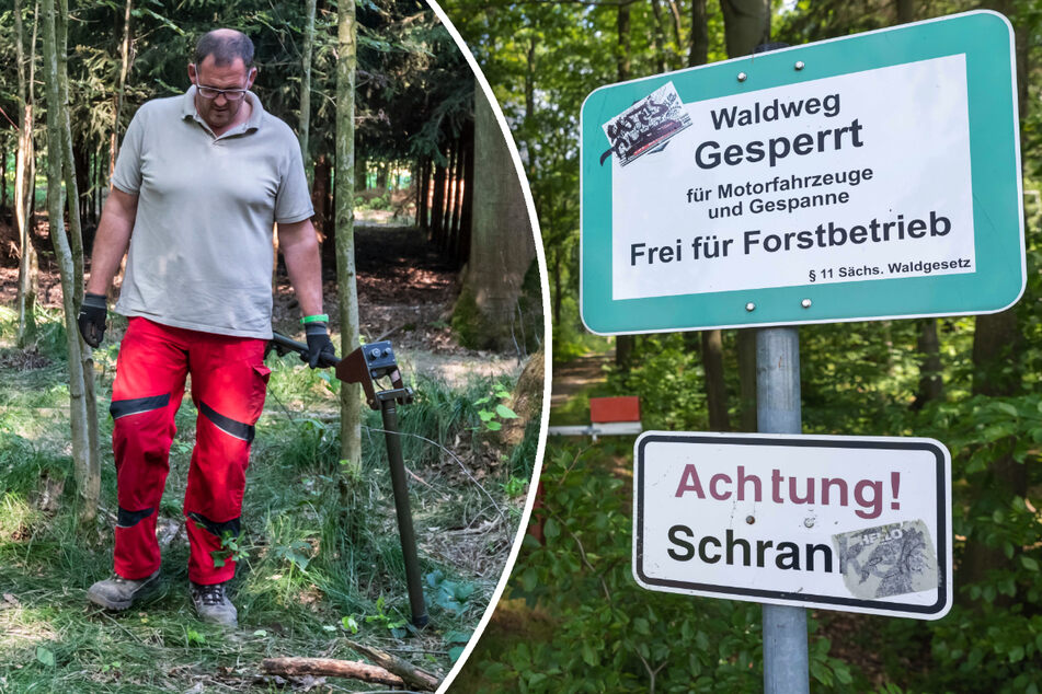 Immer wieder taucht Munition auf: Wie gefährlich ist der Hartmannsdorfer Forst?