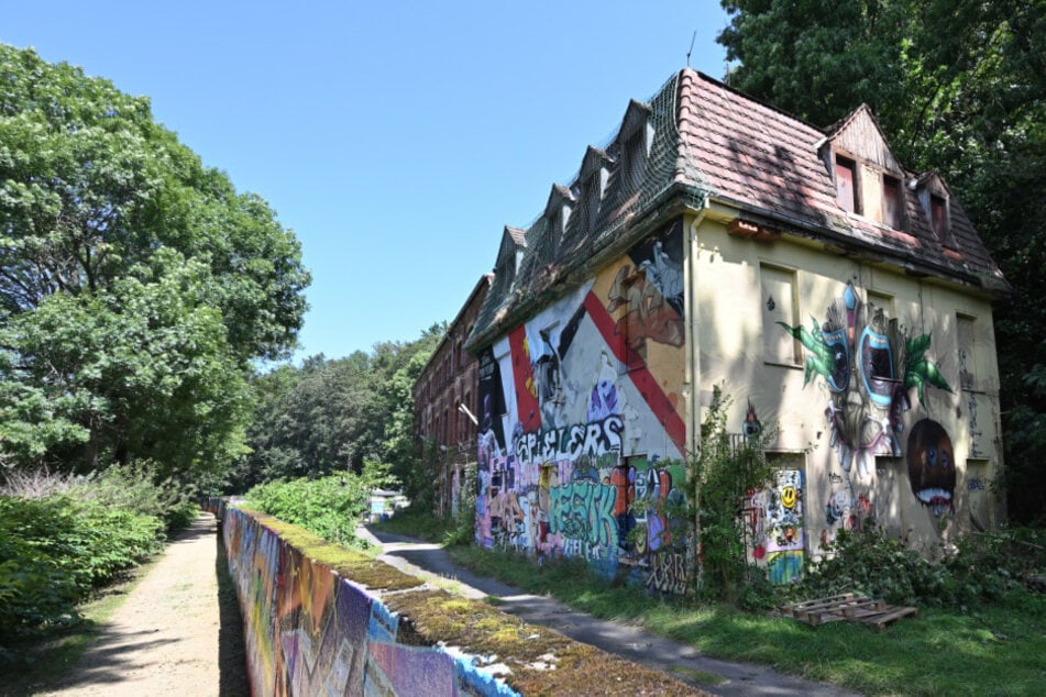 Rechtsextremer Übergriff nach Krah-Auftritt? Polizei verhindert Attacke auf Kunstfestival