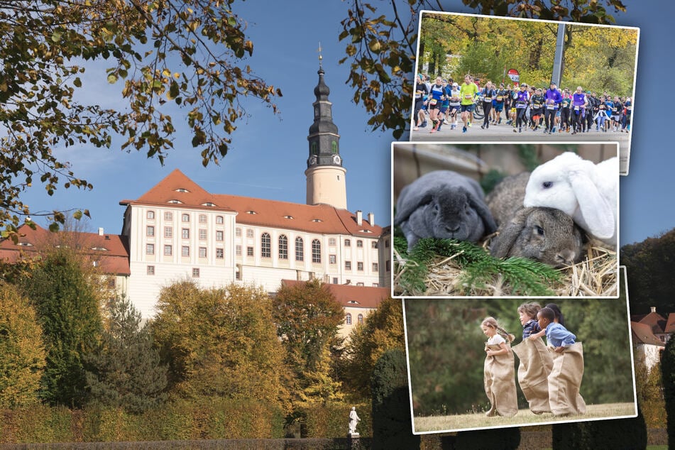 Dresden: Ein Sonntag, viele Möglichkeiten: Hier sind acht Tipps für Dresden und Umgebung