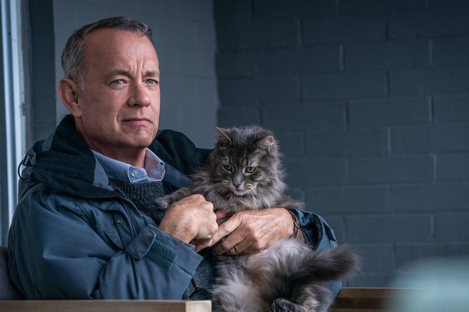 Langsam zeigt Otto (Tom Hanks, 67) seine weiche Seite. Er nimmt sogar einen Streuner bei sich auf.