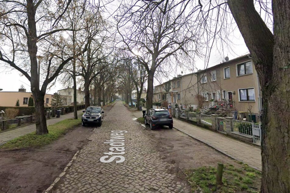 Der Stadtweg wird von den Linden am Straßenrand geprägt.