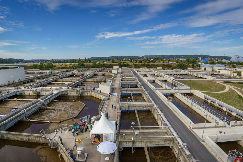 Erfahrt hier am Sonntag (11.6.) wie schmutziges Wasser wieder gereinigt wird.