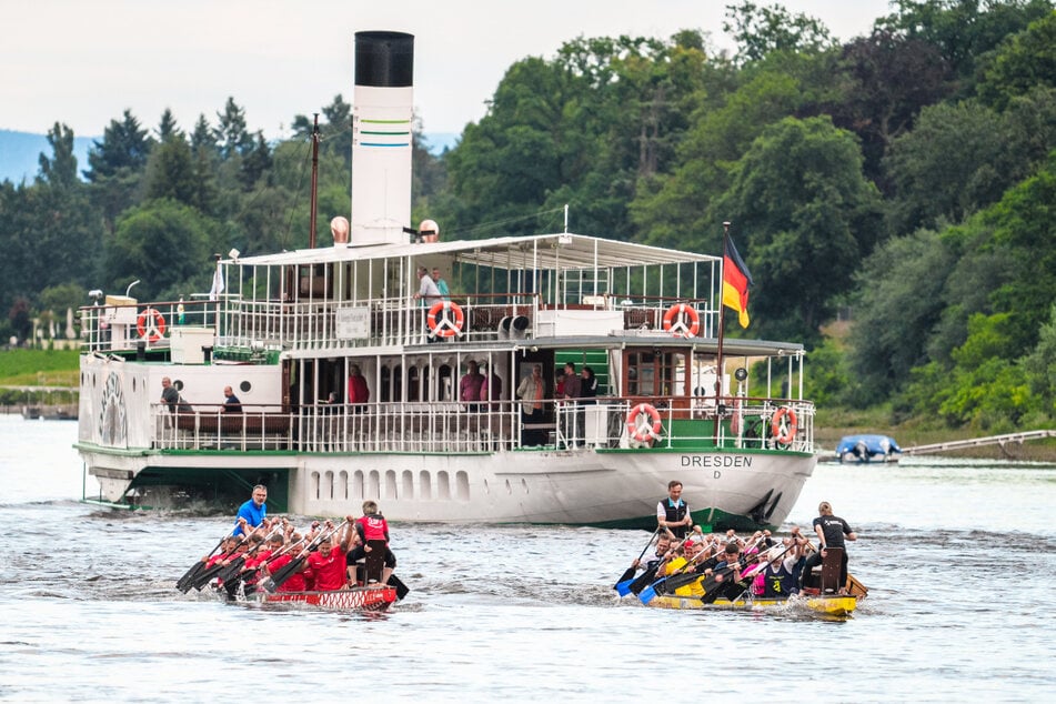 Das Drachenboot-Festival besticht mit vielen Highlights auf und neben der Elbe.