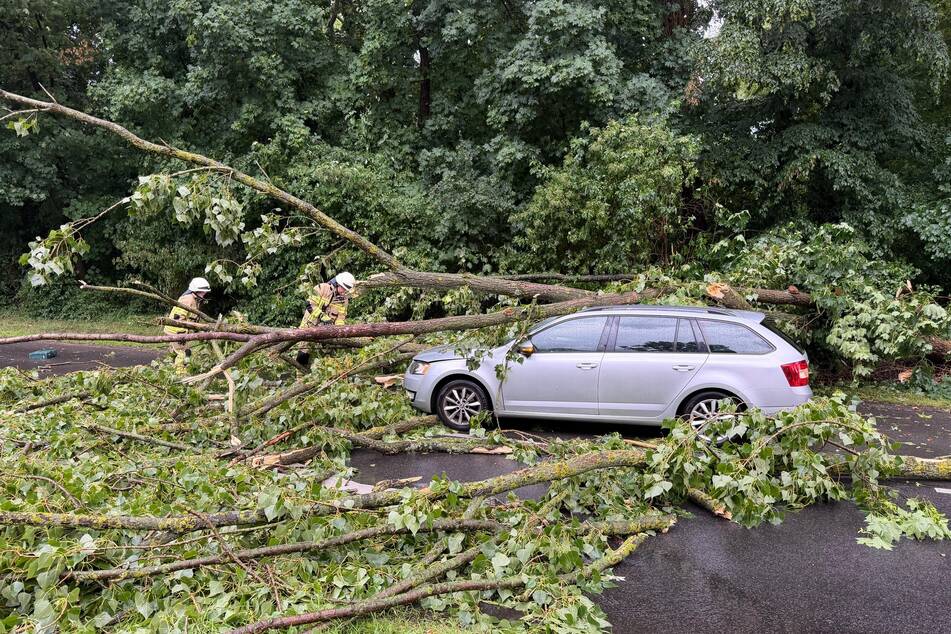 In Köln war die Feuerwehr im gesamten Stadtgebiet im Dauereinsatz.
