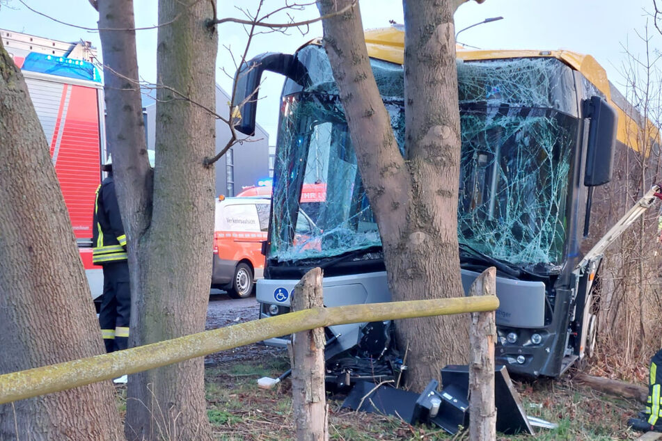 Linienbus kracht gegen Baum: Zwei Verletzte bei schwerem Crash in Leipzig