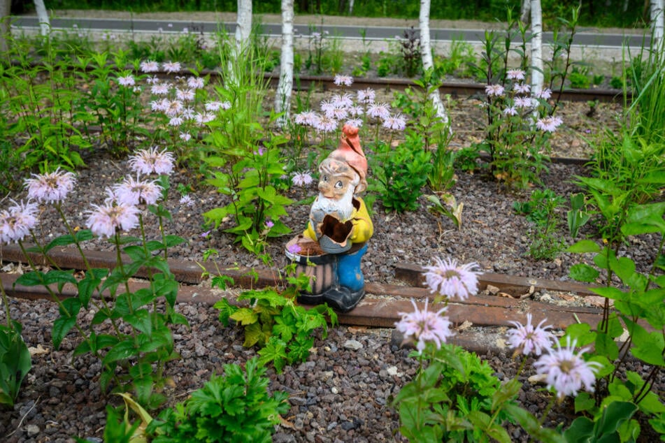 Auch der erste Gartenzwerg hat schon Platz genommen.