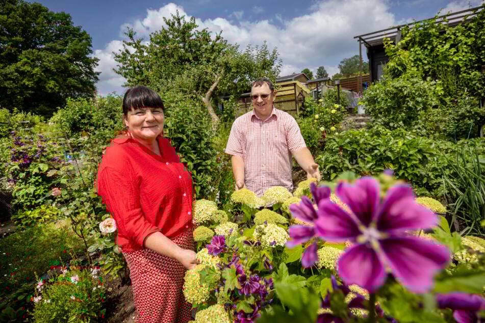 Suzanne Krauß (55), Vorsitzende des Stadtverbandes der Kleingärtner, schaut sich bei Sören Weißflug (43) in der Gartensparte "Hammerfrieden" um.