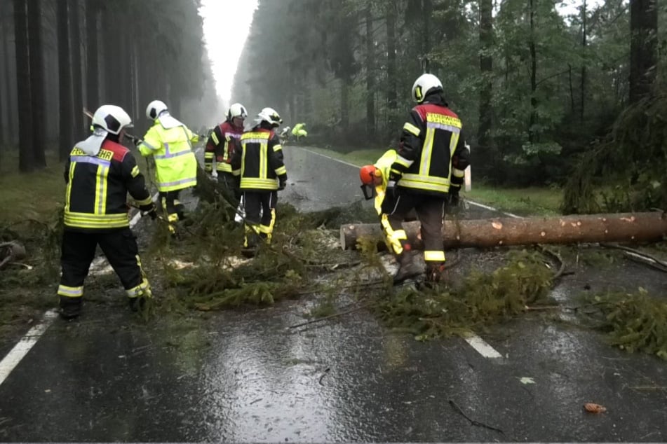 Zahlreiche Bäume stürzten im Erzgebirge um.